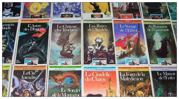 Livres dont vous êtes le héros